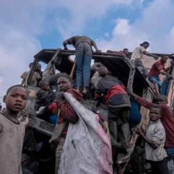 @elise sawasawa-1134